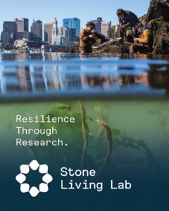 City line above water line. Text reads: Resilience through research, Stone Living Lab.