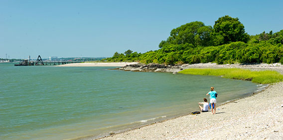 Grape Beach
