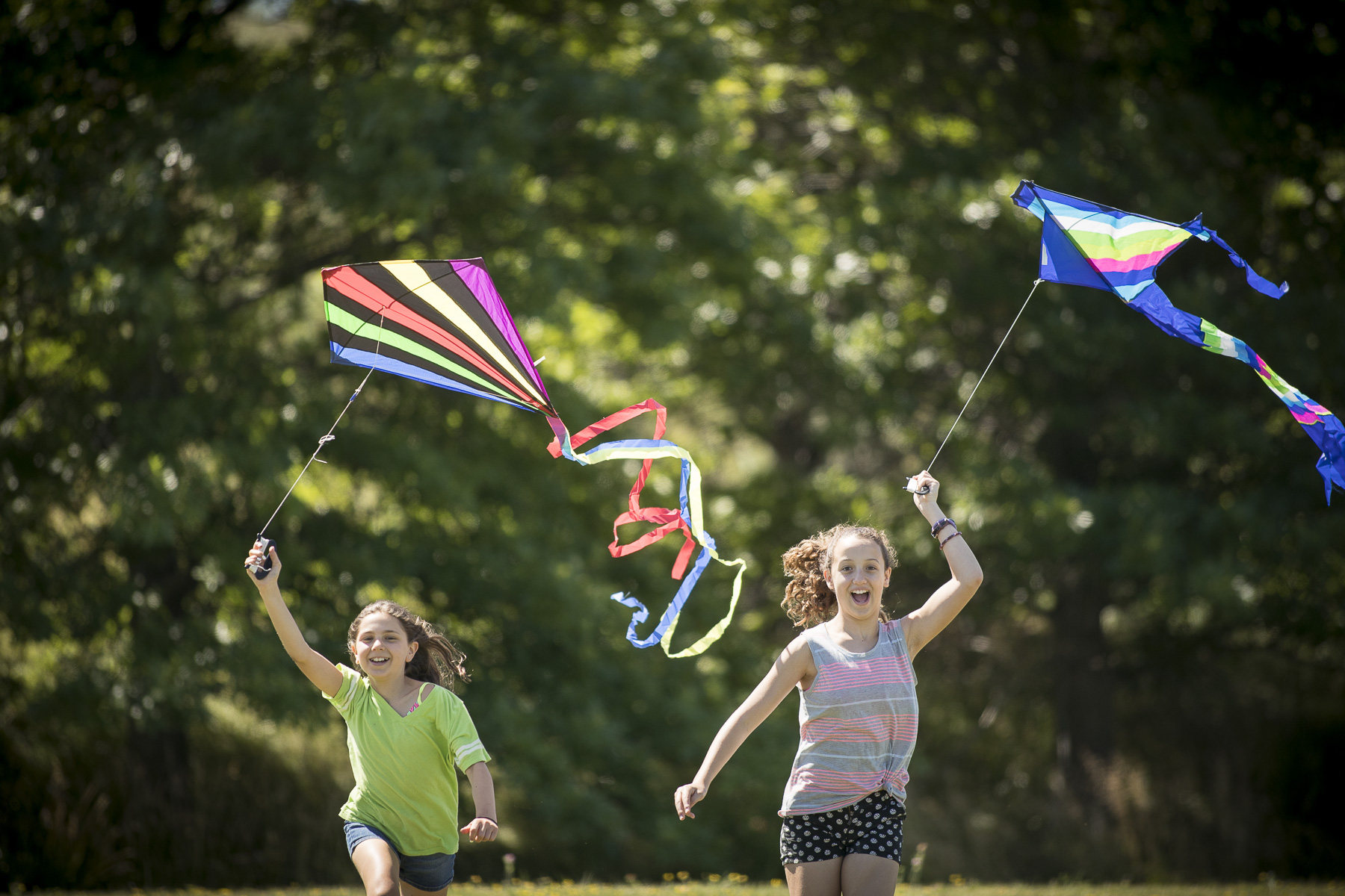What Wind Speed Is Good For Kite Flying at Norma Benoit blog