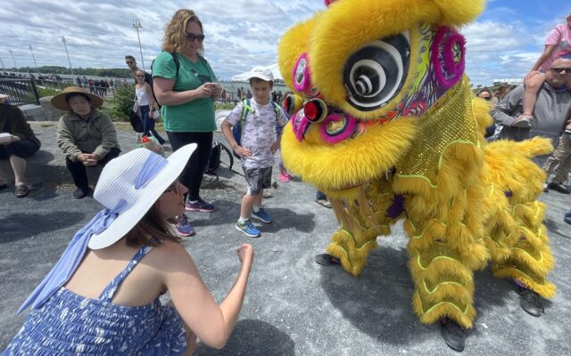 Lion Dance on Spectacle