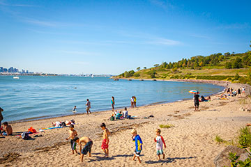 Spectacle Island Beach