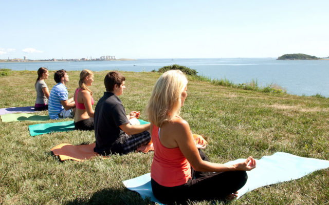 Spectacle Island Yoga