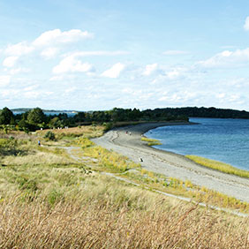 Webb Beach