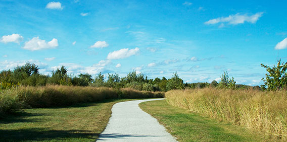 Webb Trail
