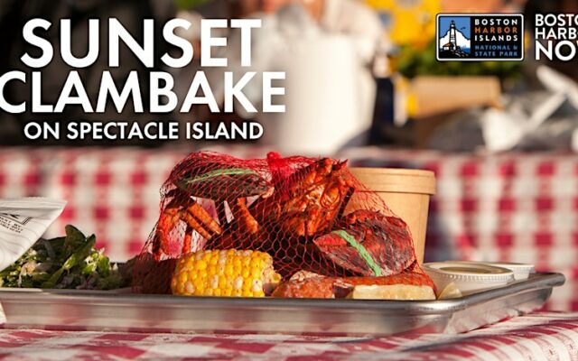 A plate of lobster and clams against a red plaid background